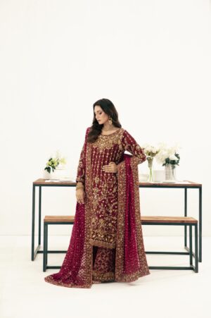 MEHROON with Velvet Aplic