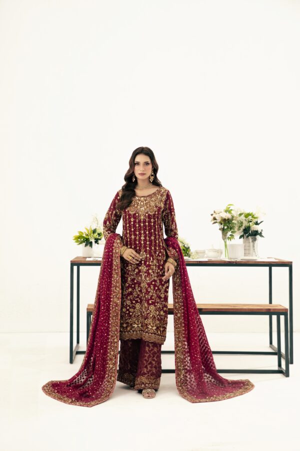 MEHROON with Velvet Aplic - Image 3