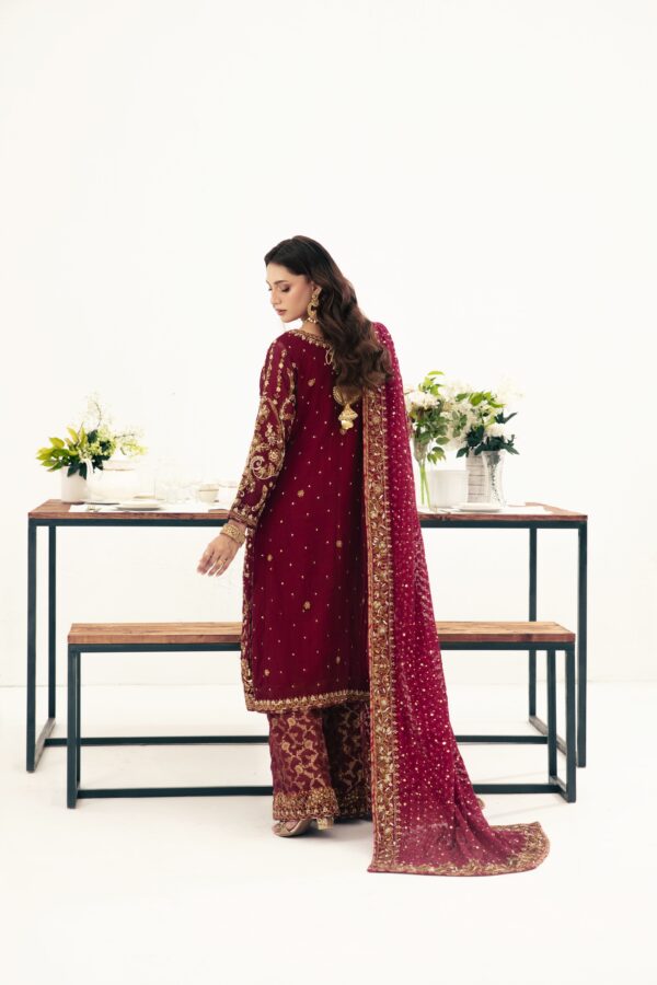 MEHROON with Velvet Aplic - Image 7