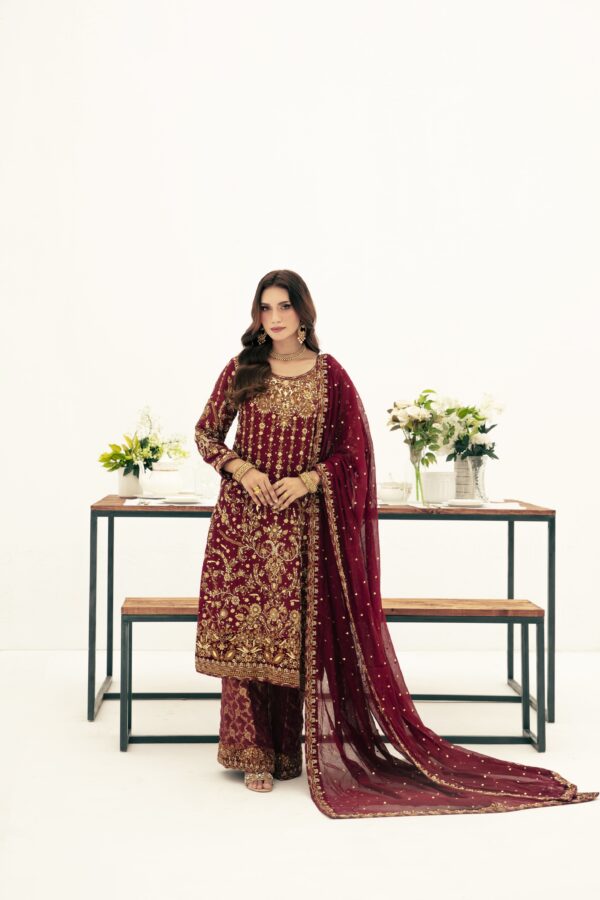 MEHROON with Velvet Aplic - Image 2