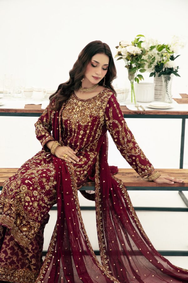 MEHROON with Velvet Aplic - Image 5