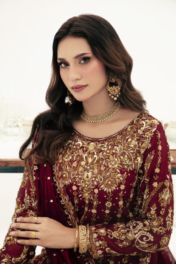 MEHROON with Velvet Aplic - Image 6
