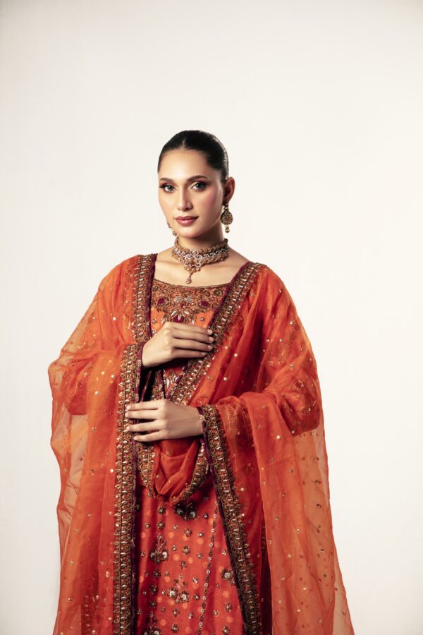 RUST ORANGE - Image 8