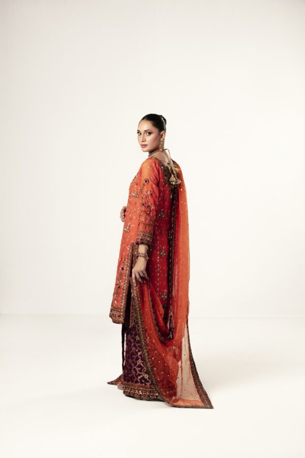 RUST ORANGE - Image 6
