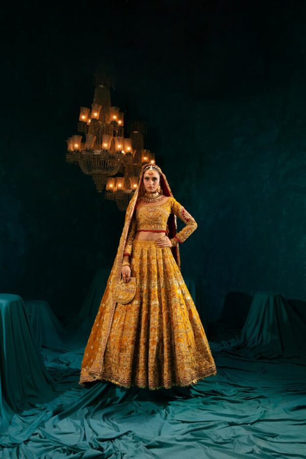 Purani Dilli - Image 3