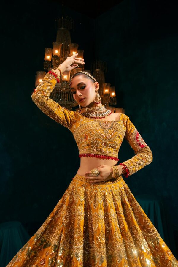 Purani Dilli - Image 5