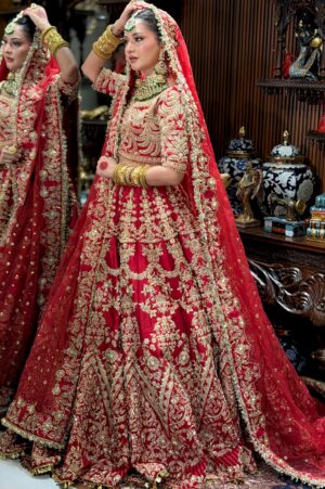 BUSHRA PURANI DILLI